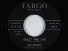 Doo-Wop 45 - Aquatones - Crazy For You - Fargo