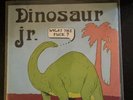 Dinosaur Jr. what the Fuck John Peel Sessions 1989 Vinyl EP