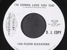 THIRTEENTH FLOOR ELEVATORS: may the circle remain unbroken  / i'm gonna love you