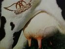 Aerosmith Get a Grip (Vinyl) 12