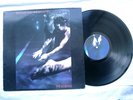 SIOUXSIE AND THE BANSHEES - The Scream LP - POLD 5009 - 1st 1978 UK Issue