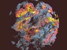 Monolink - Under Darkening Skies (2xLP) (Lenticular Cover)