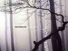 Trentemøller - The Last Resort (Vinyl Edition) (2x12