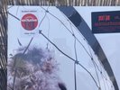 Pearl Jam - Vs  Limited 30th Anniversary Edition Clear Color Vinyl LP