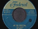 ROYALS: are you forgetting / what did i do FEDERAL 7