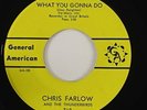 Chris Farlow & Thunderbirds 