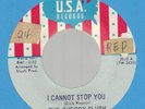 GARAGE-PSYCHE ON USA - THE CHERRY SLUSH - 