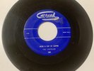The Castelles DOOWOP 45 Over A Cup Of Coffee / Baby Can’t You See GRAND VG+ HEAR