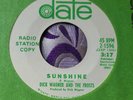 Michigan Garage Psych Destroyer 45 Dick Wagner & the Frosts Sunshine VG+ HEAR