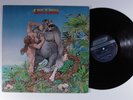 SAVOY BROWN Skin 'N' Bone LONDON LP VG+ c
