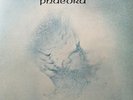 TANGERINE DREAM Phaedra Vinyl Record Album LP Virgin 1974 Original 1st Rock Pop