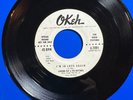 LAVERNE RAY & THE RAYTONES - I'VE GOT THAT FEELING /I'M IN LOVE AGAIN - PROMO 45
