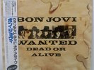 Bon Jovi - Wanted Dead Or Alive 12