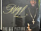 BIG L - THE BIG PICTURE (VINYL 2LP) 2000  RARE  FAT JOE + A.G. + O.C. / D.I.T.C.