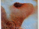 PINK FLOYD MEDDLE HARVEST EMS80322 JAPAN VINYL LP