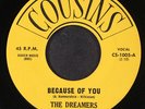 DREAMERS: because of you / little girl COUSINS 7
