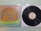 Black Magick SS - Hidden In Plain Sight Vinyl LP /500 Rare Sold Out edelweiss