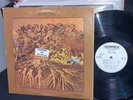 NM • Fever Tree For Sale Vinyl Psych White Label Promo LP Hey Joe Ampex A-10113