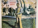 HORACE ANDY Skylarking STUDIO ONE  Roots Reggae LP HEAR