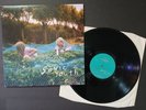 Sonic Youth Murray Street LP Goofin Noise Rock No Wave Indie GOO 4 Dirty Jet Set