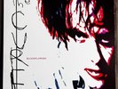 The Cure – Bloodflowers 2xLP USA Press 1st Ed Insert 2000