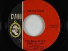 Northern Soul 45 - Dee Dee Sharp - Standing In The Need Of Love - Cameo
