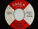 Northern Soul 45 - Frankie & Classicals - What Shall I Do/Good-Bye - Calla