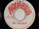 Reggae Inst. 45 - Herman Chin-Loy/Augustus Pablo - New Love - Aquarius - pre