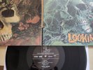 Savoy Brown Looking In Gatefold Cover  Mint