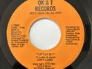 JOEY LOBO Little Bit / I'm The One OK&T RECORDS 45 RARE BOOGIE FUNK ELECTRO SOUL