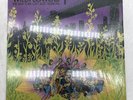 Wildflowers 1 (The New York Loft Jazz Sessions) Douglas NBLP 7045 EX/NM