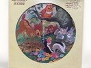 Walt Disney's Bambi Picture Disc LP Record Story & Songs Disneyland Records 3108