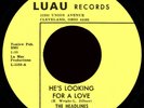 THE HEADLINES He's Looking For A Love 45 Luau Rare 1967 Ohio Northern Soul M-