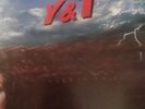 Earth Shaker Y&T Vinyl 1981 Original Album, Black Tiger Album