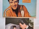 ELVIS PRESLEY Clambake - 1967 RCA LP w/ Bonus Photo & More And Free Shipping.