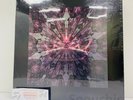 Blackpink 1st Vinyl LP The Album (18888 Limited Edition) / Express / Genuine