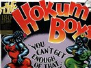 THE HOKUM BOYS - YOU CAN'T GET ENOUGH OF THAT STUFF  COVER ART BY R.  CRUMB - LP