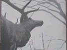 Agalloch – The Mantle 2x LP Clear (Grau)- Alcest- Wolves in the Throne Room- Fen