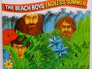Beach Boys ‎– Endless Summer - Capitol ‎SVBB-11307 180g Ltd Ed Remastered LP NM