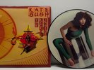 KATE BUSH * The Kick Inside * Rare 1978 UK Vinyl Picture Disc * EMC 3223
