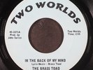BRASS TOAD: in the back of my mind / easy to be hard TWO WORLDS 7