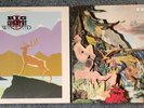 Big Country: Wonderland + Peace in Our Time Vinyl LP's 1984-88 - NM/EX
