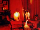 Kammerflimmer Kollektief - Cicadidae (LP) (Very Good Plus (VG+)) - 3207945257