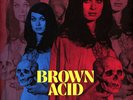 V.A. - Brown Acid - The Sixteenth Trip (Vinyl LP - 2023 - US - Original)