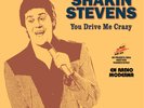 SHAKIN STEVENS 