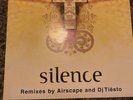 Delirium Feat Sarah McLachan Silence