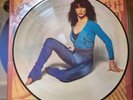 KATE BUSH -The Kick Inside- Rare / UK Picture Disc LP (Vinyl) Near Mint