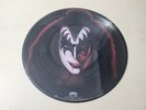 KISS RARE Gene Simmons Vintage 1979 Japan Picture Disc 12
