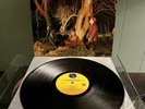 ECHO AND THE BUNNYMEN CROCODILES VINYL LP 1980 SIRE THE SMITHS PSYCHEDELIC FURS