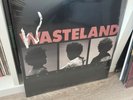 Brent Faiyaz Wasteland 2LP Vinyl New And Sealed (Mint Condition) rare sold out